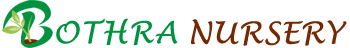 logo-img